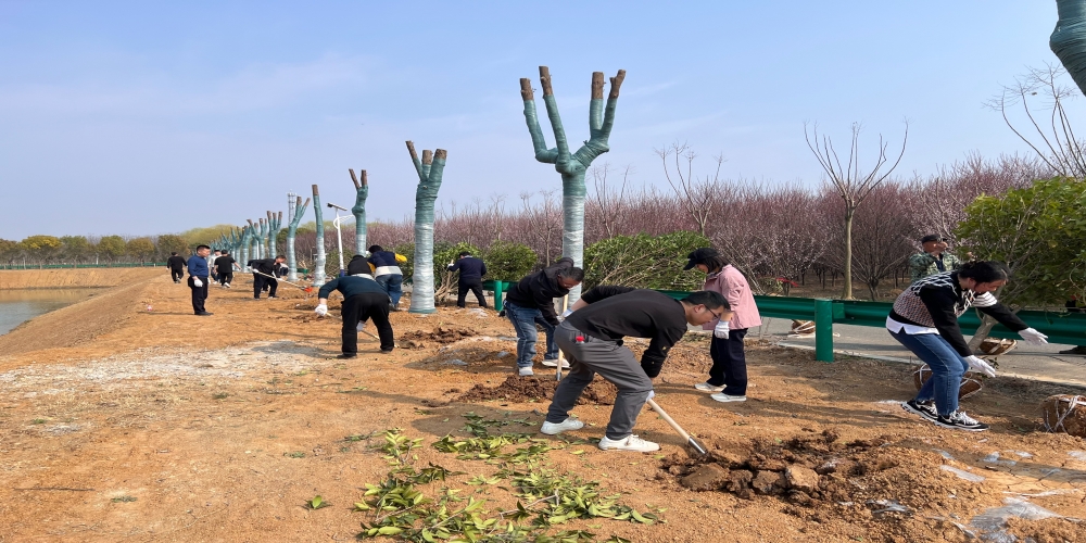 党建引领共植绿 凝心聚力谱新篇 ——和合生态、德嘉置业党支部赴小庙基地义务植树